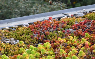 the cost of Sandbach green roof installation