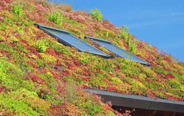 Sandbach living roof systems