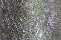 Sandbach fibreglass roof work